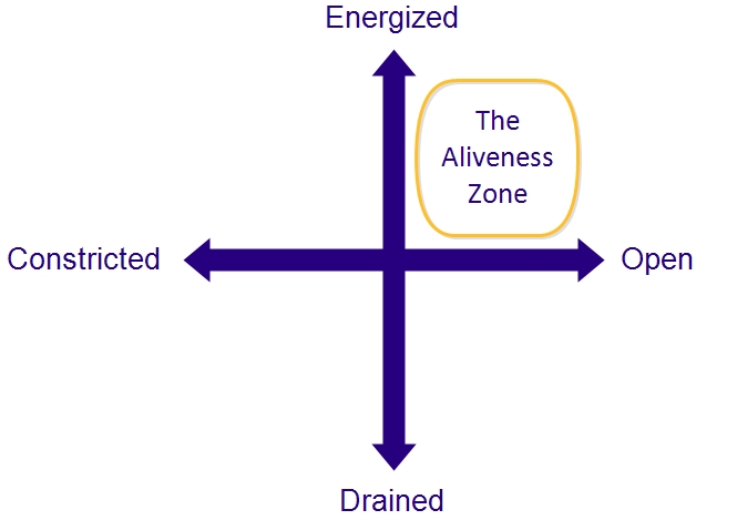 The Aliveness CODE framework (tm)